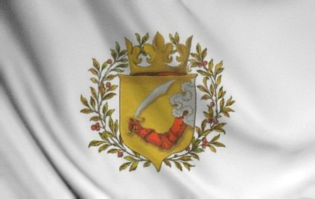 Usvojen grb BiH za vrijeme austrougarske okupacije